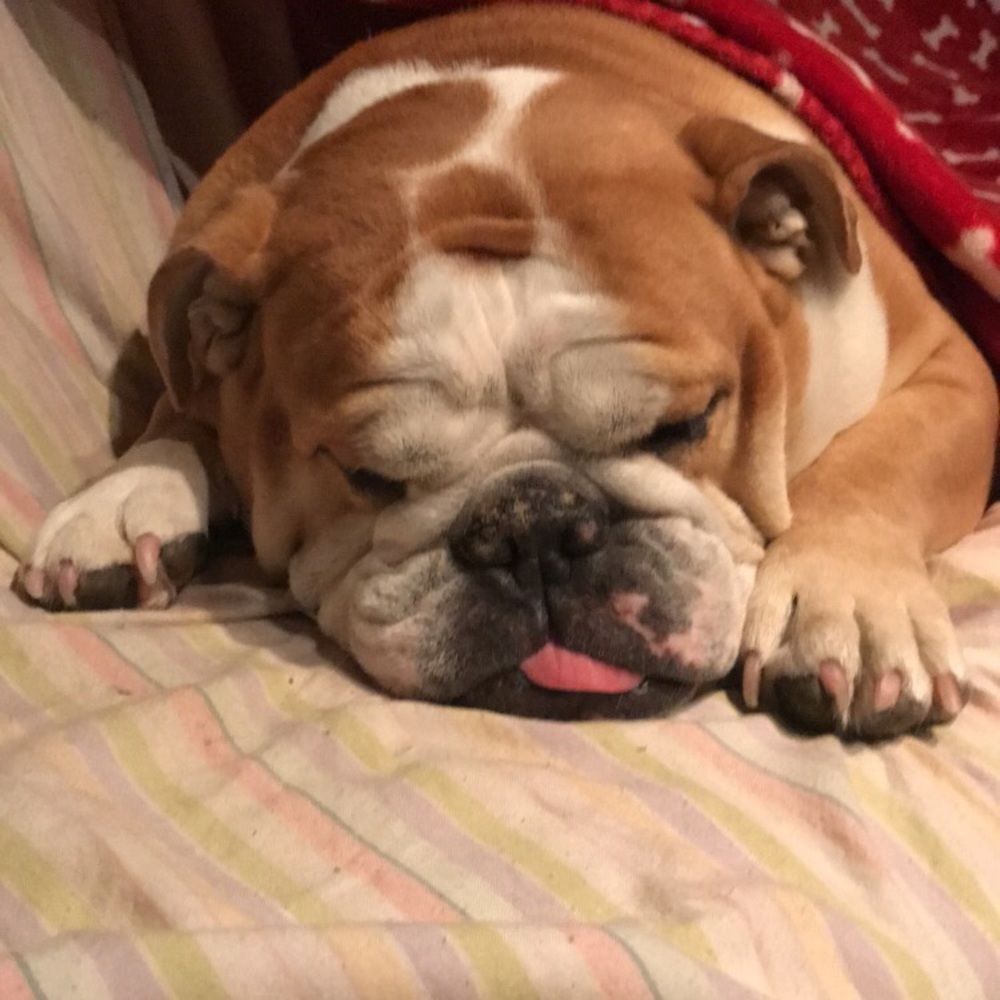 Meet your Posher, Ananya